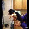 Nicolette's Pup Cruella