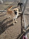 Clark   #9938 - Photo 2