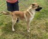 Clark   #9938 - Photo 3