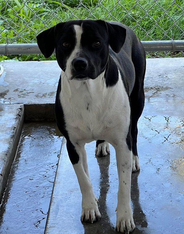 Lenny  #9966
