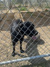 Onyx - Photo 1