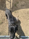 Onyx - Photo 2