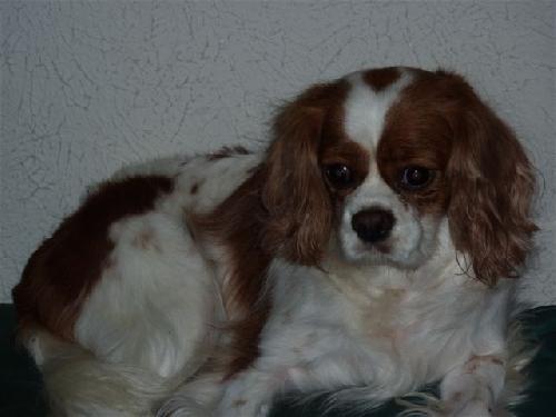 TX: Maggie