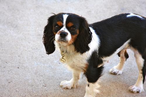TX: Ginny