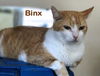 Binks