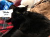 Blackie