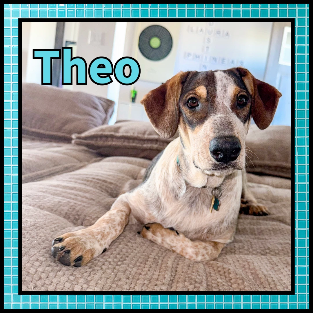 Theo Gdp