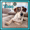 Theo GDP - Photo 1