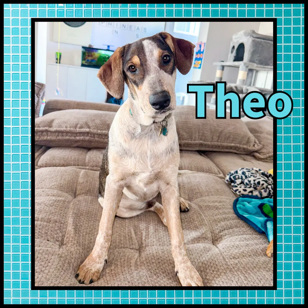 Theo Gdp image 2