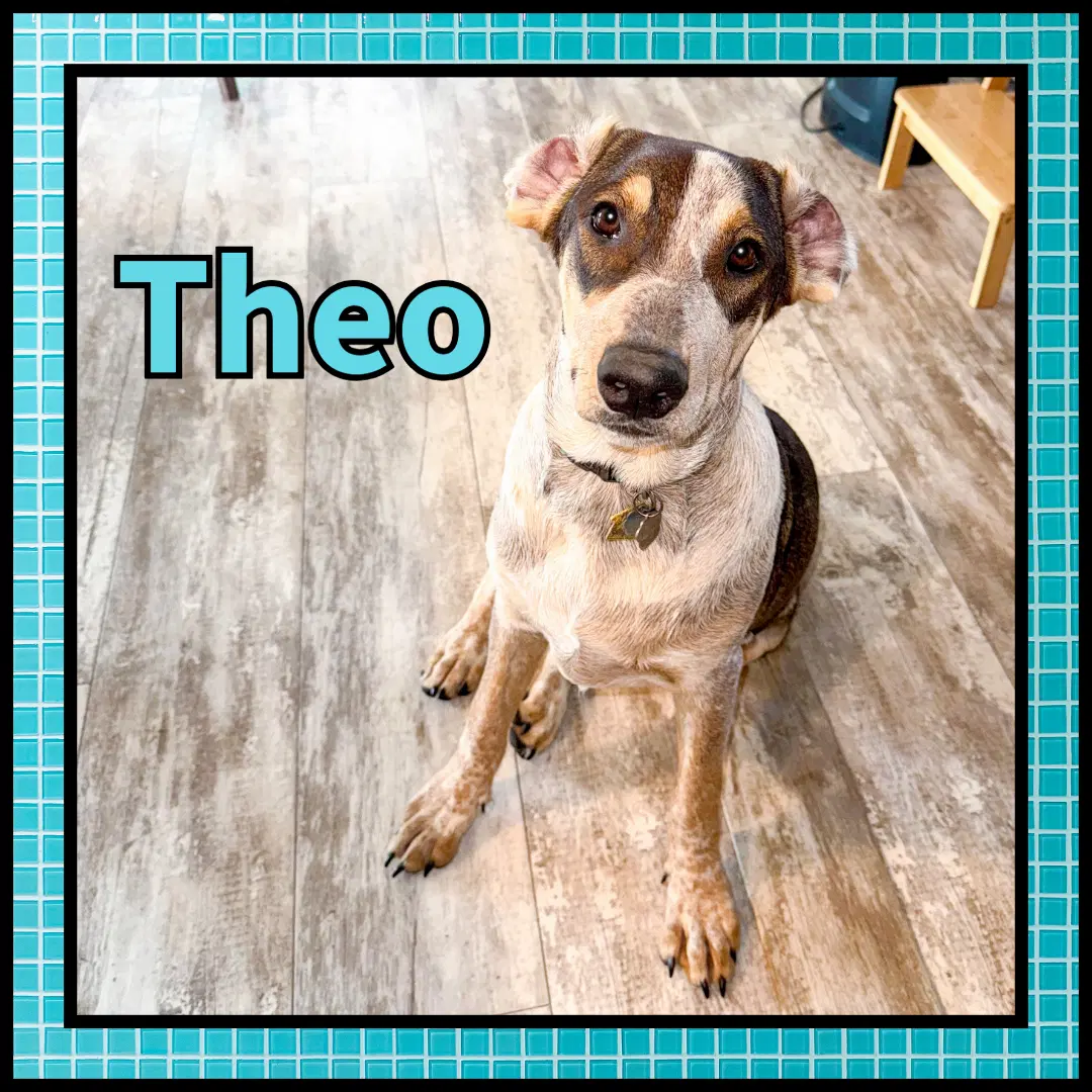 Theo Gdp image 3