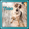 Theo GDP - Photo 3