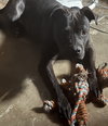 Boomer GDP - Photo 1