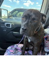 Boomer GDP - Photo 2