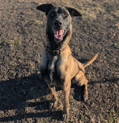 Mali