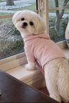 Luna GDP - Photo 1