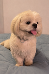 Luna GDP - Photo 2