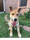 Winnie - Photo 1