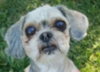 Thelma
