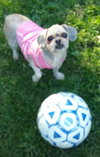 Thelma
