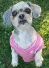 Thelma