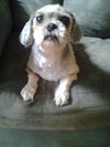 Thelma