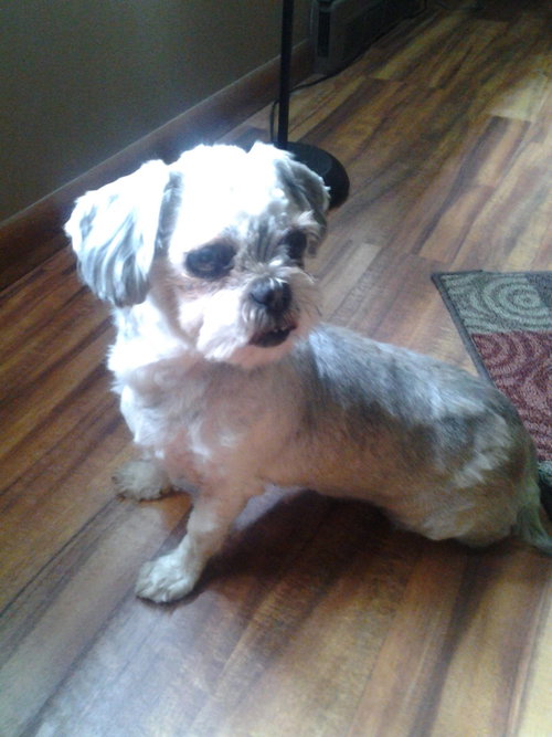 Thelma