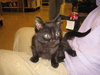 Clarence