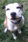 Rosie