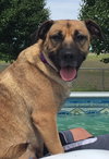 Athena