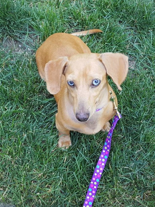 Coco