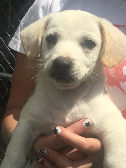 Charlie