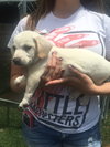 Charlie