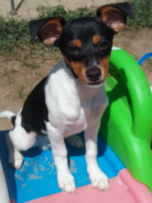 Archie