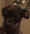 Lucy