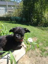 Lucy