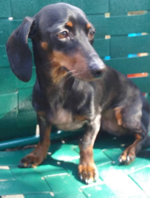 Tucker