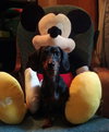 Tucker
