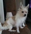 Chloe