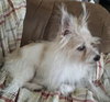 Chloe
