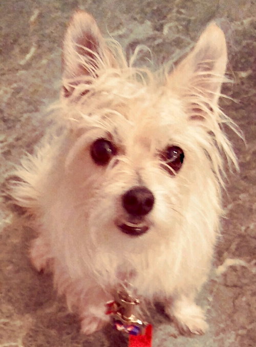 Chloe