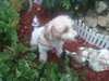 Zoey