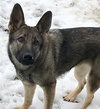 Ava