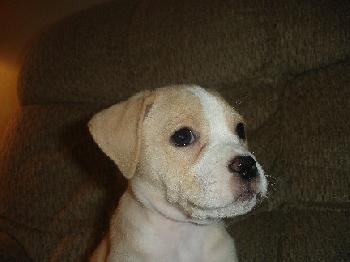 Zoey