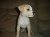 Zoey