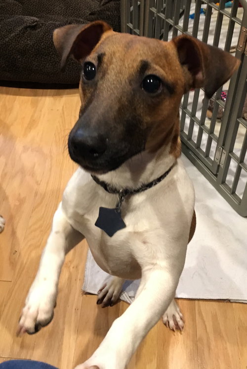 Oscar