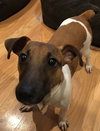 Oscar