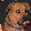 Duke
