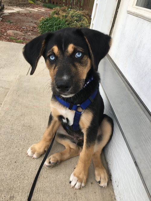 Murphy