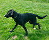 Tilly