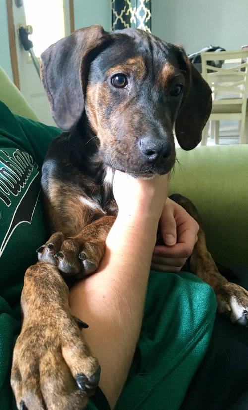 Copper